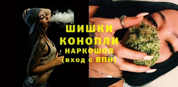 прущие грибы Саяногорск