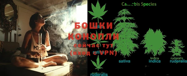 ешки Надым