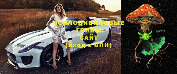 мяу мяу мука Сатка