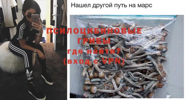 прущие крисы Алапаевск