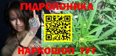 дживик Кингисепп