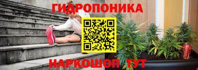 дживик Кингисепп