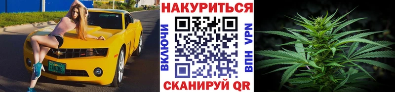 блэк спрут   Арзамас  Бошки Шишки планчик 
